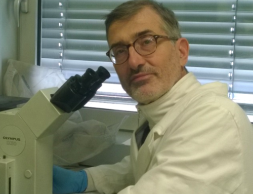 Capire meglio la proteina spike: intervento del prof. Paolo Bellavite